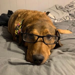 Meet your Posher, Alexis